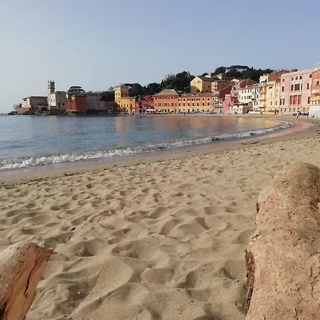 Sereno